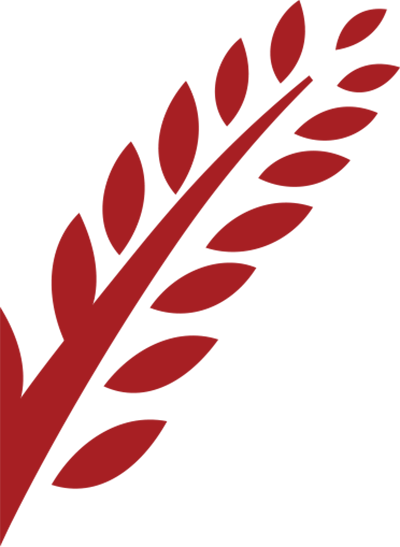 Agricultural Seed Supplier
