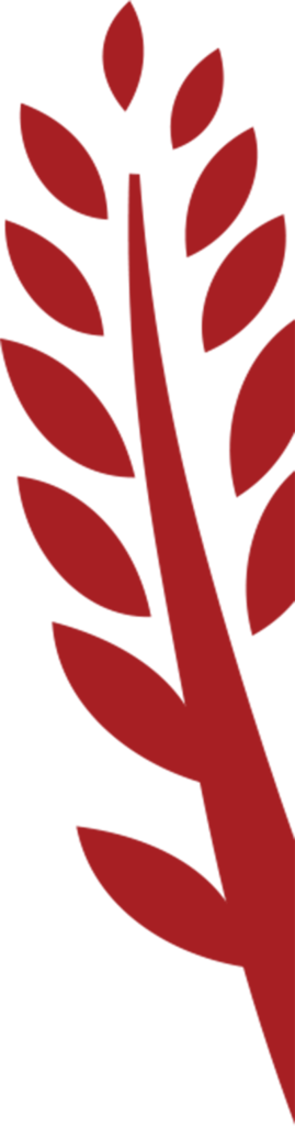 Agricultural Seed Supplier